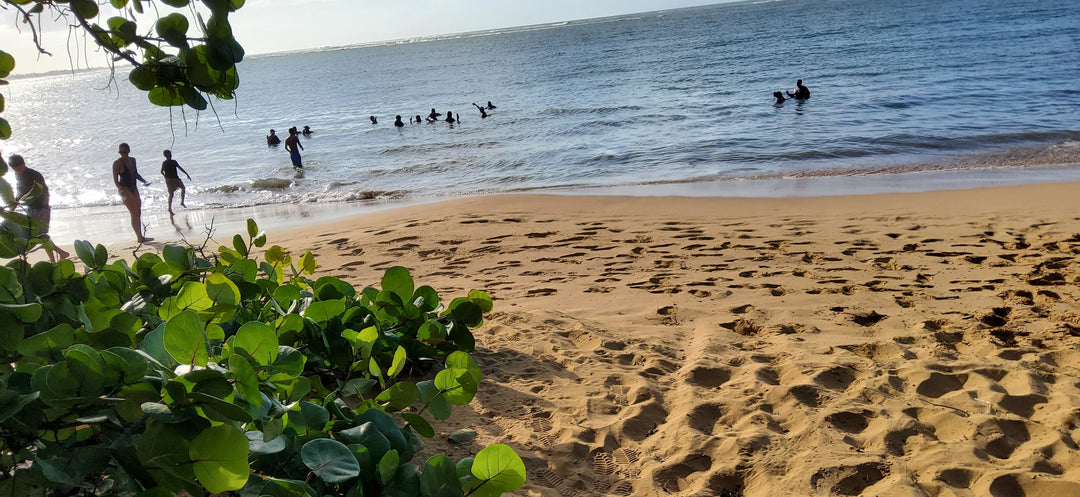 Luquillo, Puerto Rico: Where the Rainforest Meets the Sea