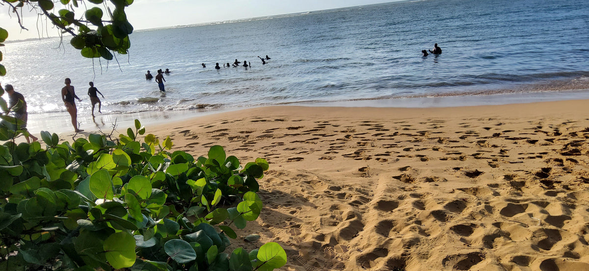 Luquillo, Puerto Rico: Where the Rainforest Meets the Sea