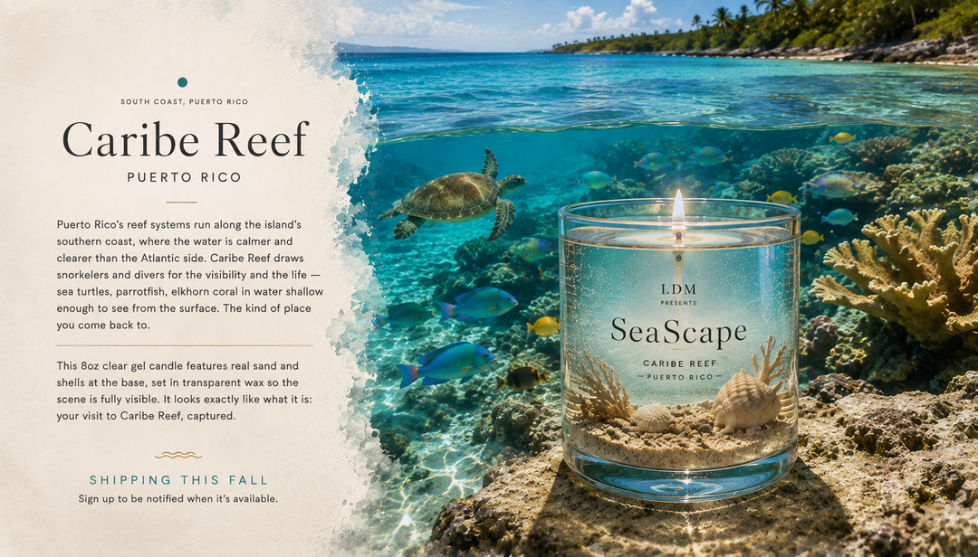 Seascape Caribe Reef — Gel Candle
