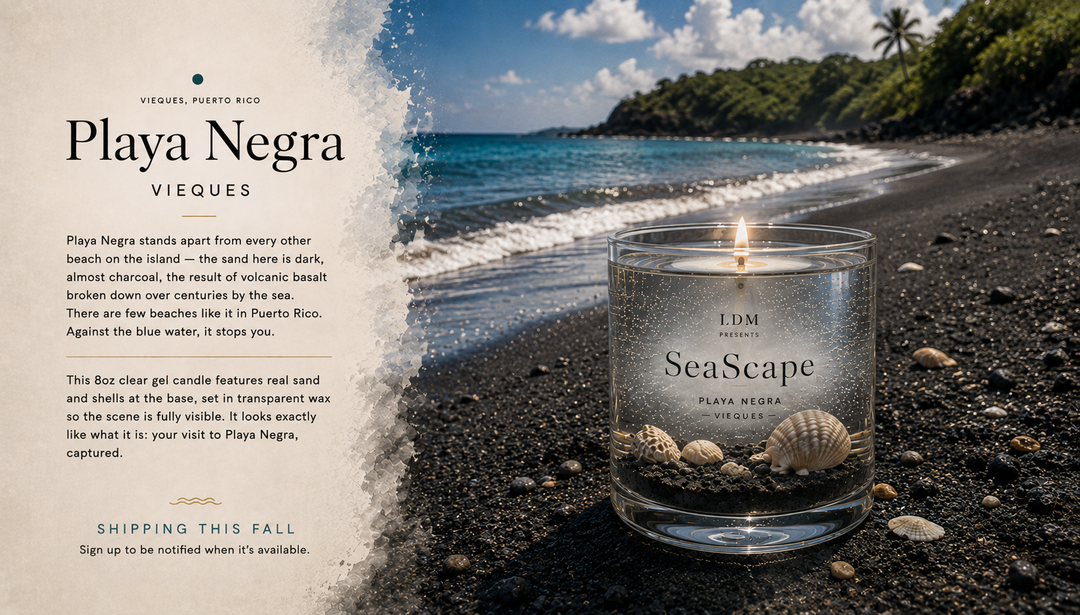 Seascape Playa Negra — Gel Candle