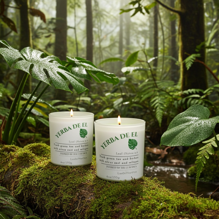 Two Yerba De El Yunque candle by Luz del Mar Candles on a mossy log in a forest setting
