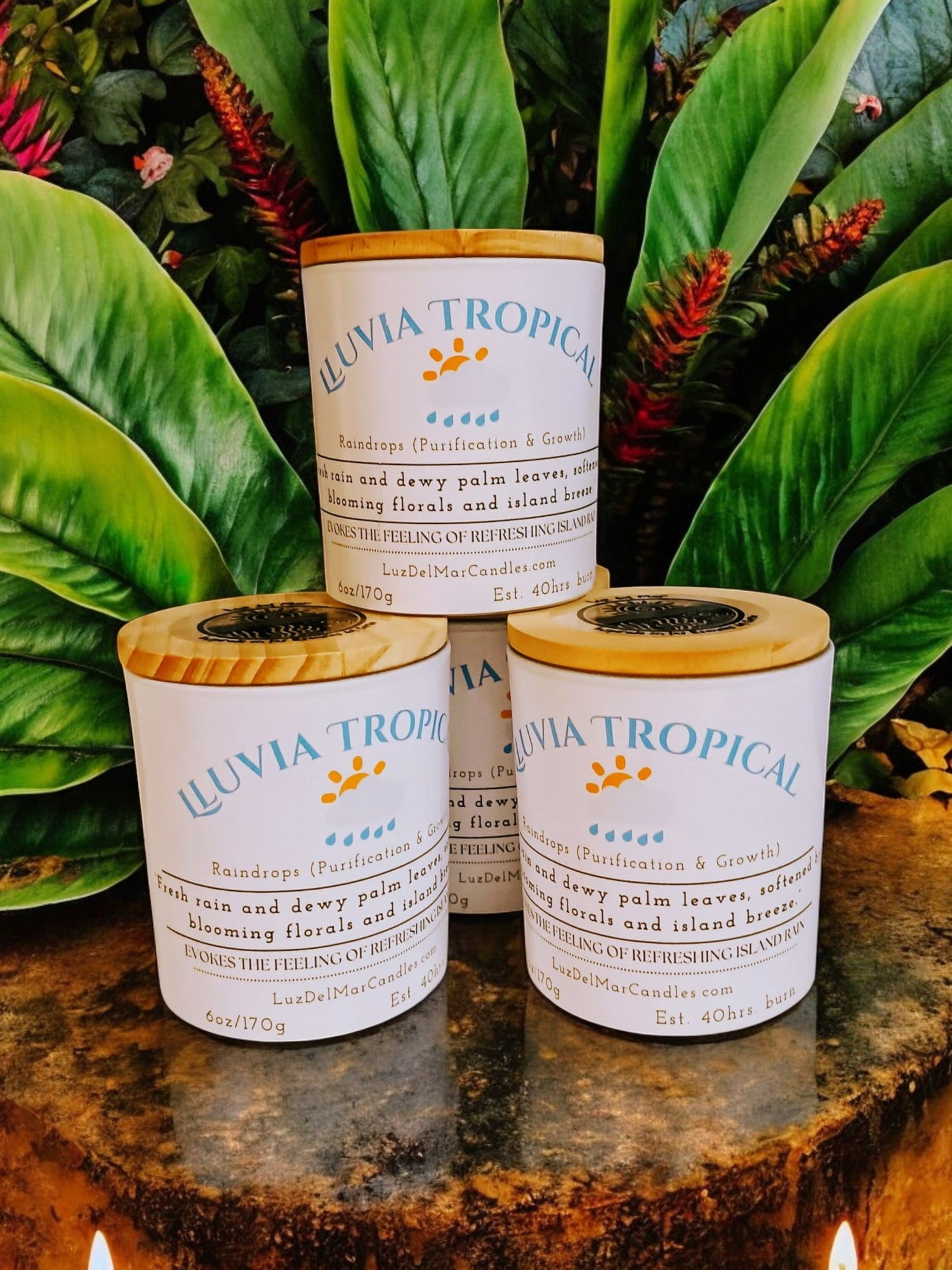 Lluvia Tropical – Fresh Rain & Amber Soy Candle - 8oz - Luz Del Mar