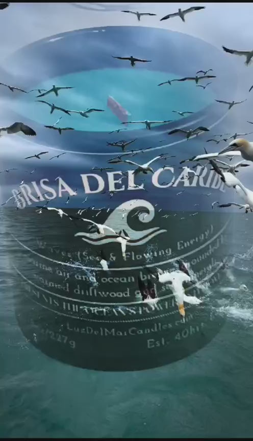 Brisa del Caribe – Ocean Breeze & Driftwood Soy Candle - 6oz