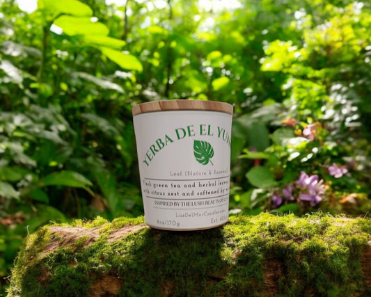 yerba-de-el-yunque-green-tea-candle sitting on a log in the rainforest 