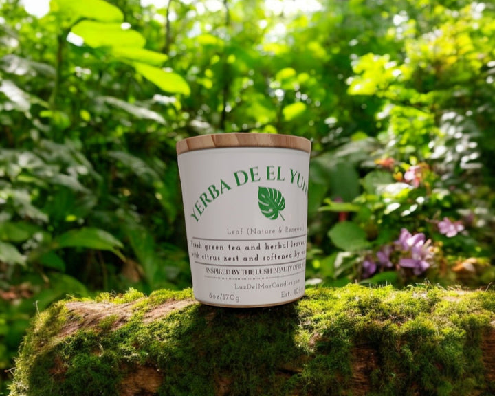 yerba-de-el-yunque-green-tea-candle sitting on a log in the rainforest 
